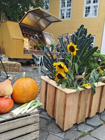 Messenger Creation CC6A736A 91DE 4DD1 85EE 3039F48A99A1 (1)