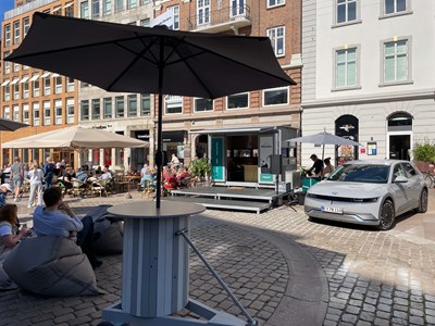 IMG 3594 (1)