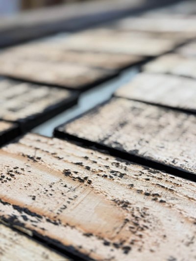 3F1B66DA 93DA 43ED 89CD 3B9823EEDBA9 1 105 C